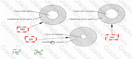 RCDDv14 question answer