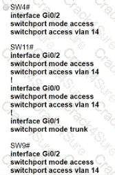 200-301 question answer