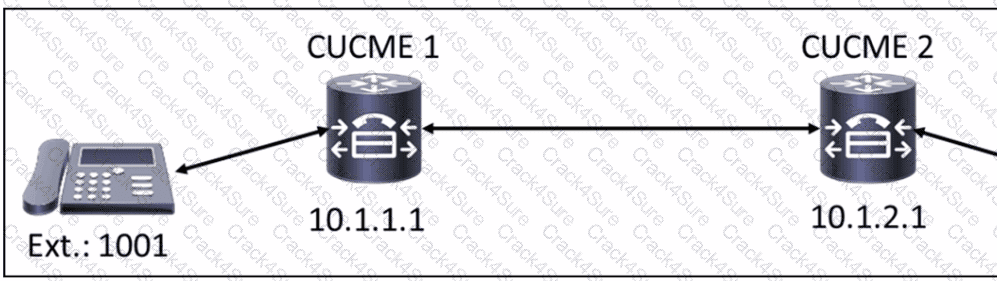 300-815 question answer