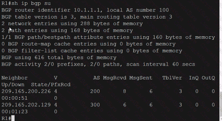 350-401 question answer