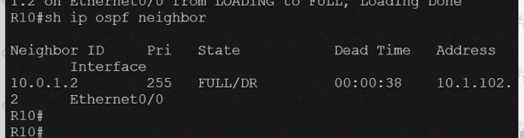 350-401 question answer