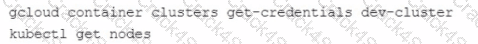 Associate-Cloud-Engineer question answer