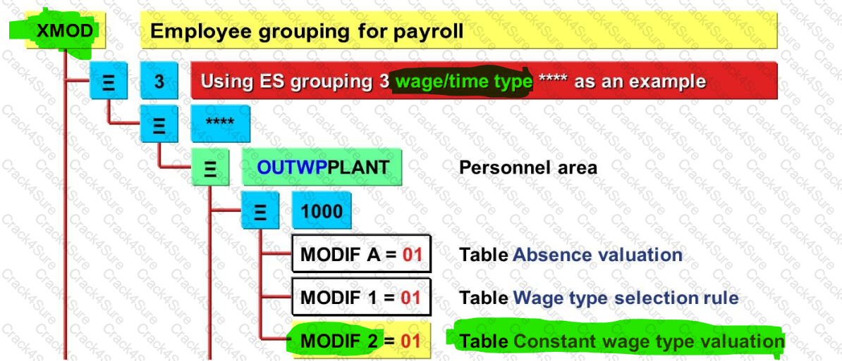 C_HCMPAY2203 question answer