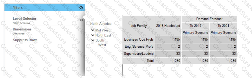 C_THR89_2405 question answer