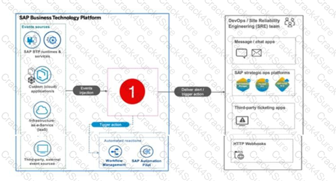 P_BTPA_2408 question answer