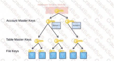 ARA-C01 question answer