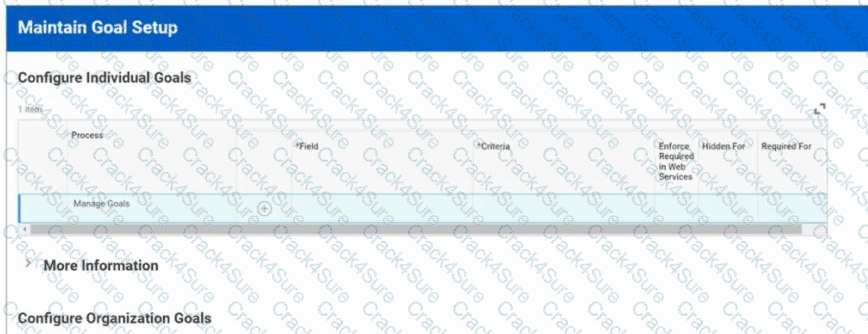 Workday-Pro-Talent-and-Performance question answer